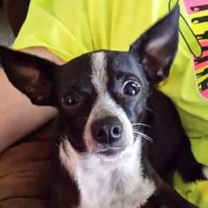 Meet your Posher, Lisa